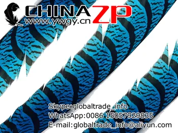 Exportul de CHINAZP Fabrica de 50pcs/lot de 90 de~100cm Lungime de Calitate de Top Albastru Vopsit Lady Amherst Center Coada Pene